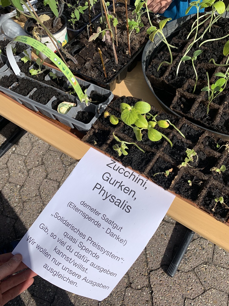 2025 06 Solidarisches Preissystem HP